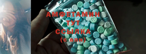 ECSTASY Богородицк