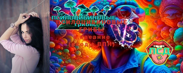 ECSTASY Богородицк