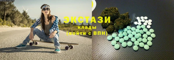 ECSTASY Богородицк